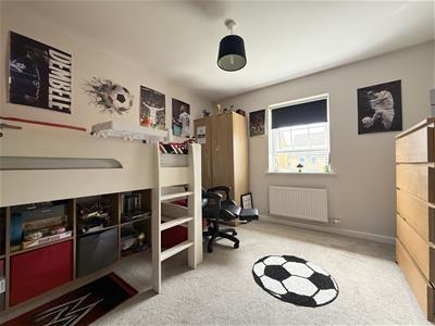 Picture 20